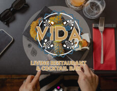 Vida – Brand Identity
